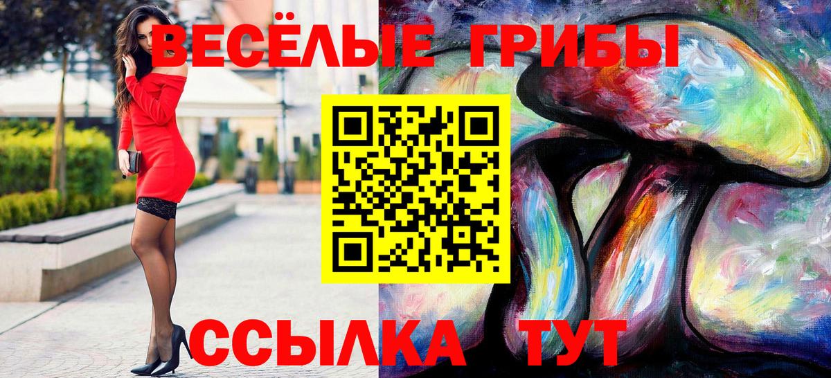 Волхов  Псилоцибиновые грибы Cubensis  Вход с VPN 