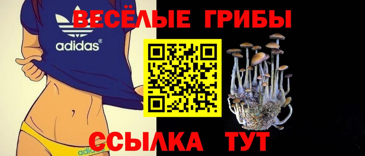 Галлюциногенные грибы мицелий Волхов